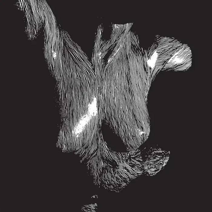 Oceansize - Self Preserved While The Bodies Float Up (15th Anniversary Edition) NAD25