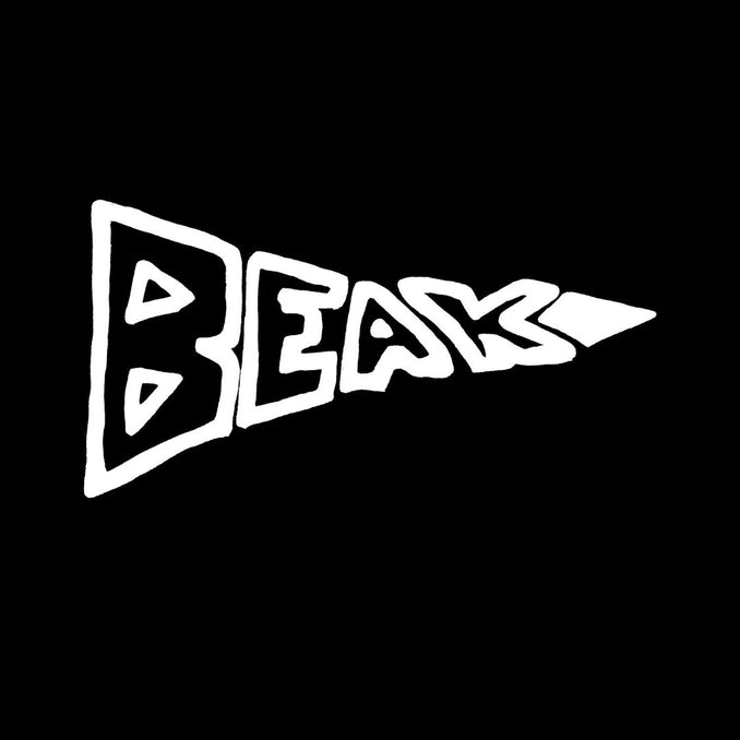 Beak > - Recordings 05/01/09 > 17/01/09