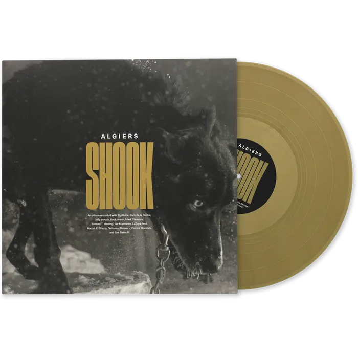 Algiers - Shook