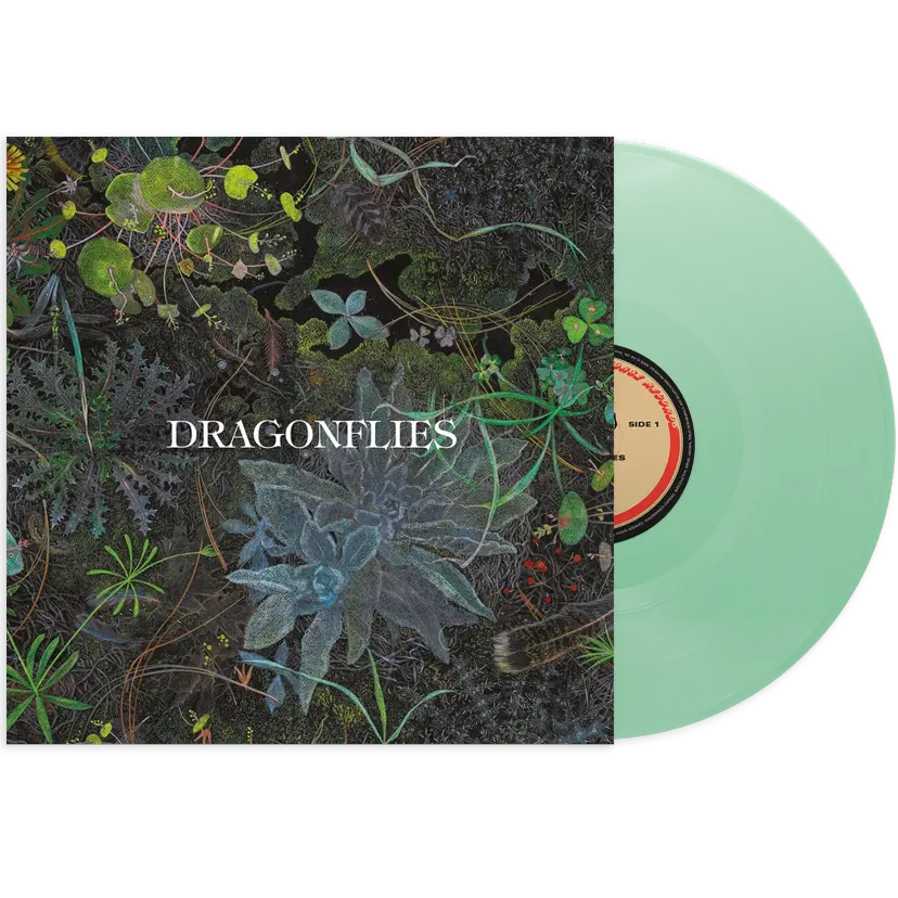 Dragonflies - Dragonflies