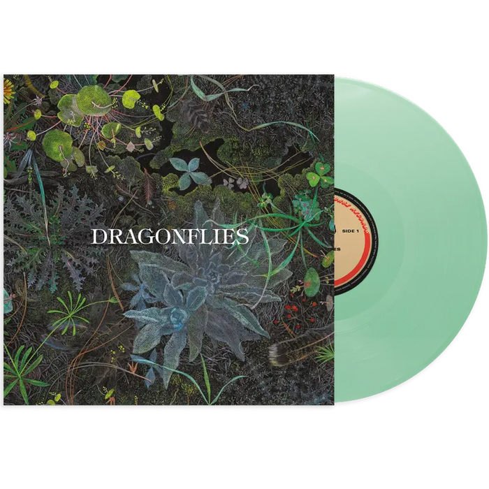 Dragonflies - Dragonflies