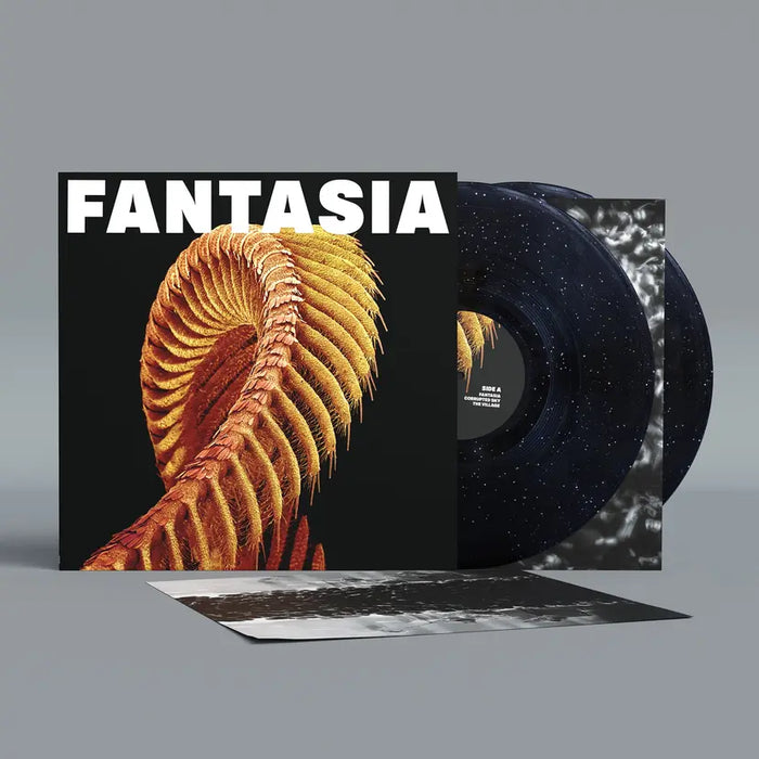 Slift - Fantasia