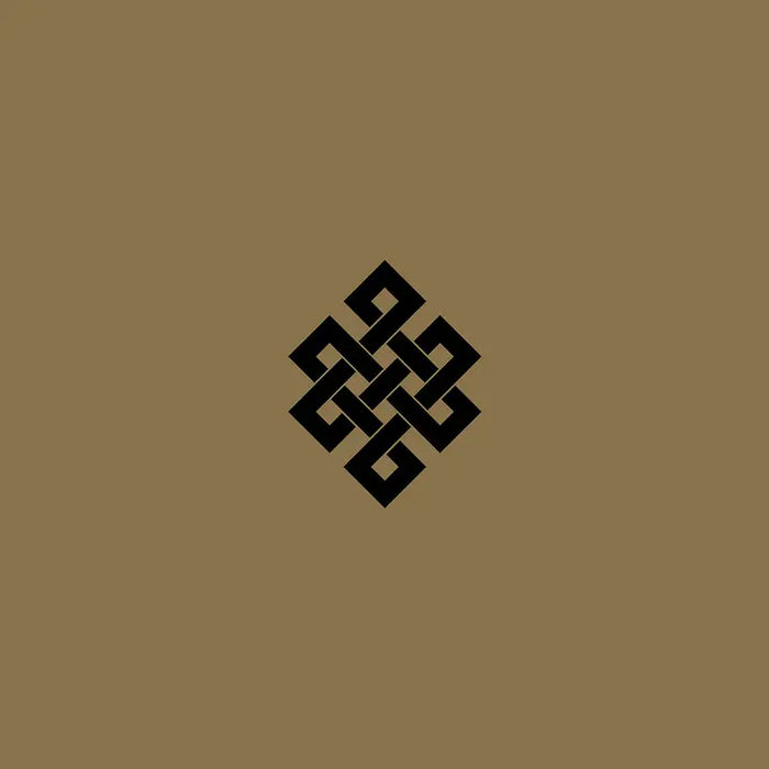 Throbbing Gristle - Live at the Volksbühne, Berlin, New Year's Eve, 2005
