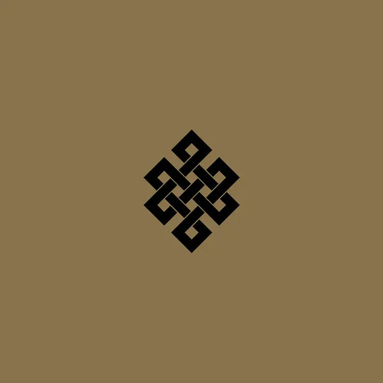 Throbbing Gristle - Live at the Volksbühne, Berlin, New Year's Eve, 2005