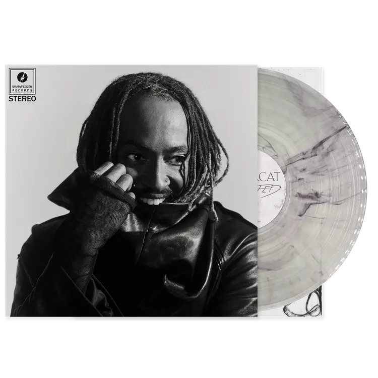 Thundercat - Distracted