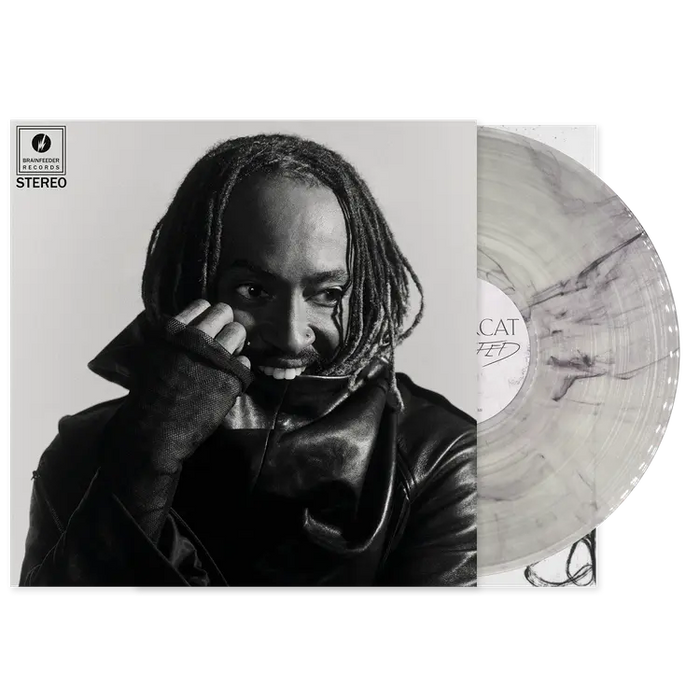 Thundercat - Distracted