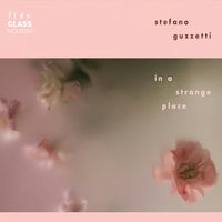 Stefano Guzzetti - In a Strange Place *Signed by Emma Anderson & Heidi Berry*