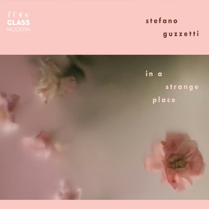Stefano Guzzetti - In a Strange Place *Signed by Emma Anderson & Heidi Berry*