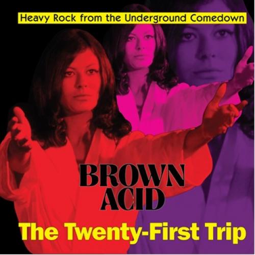 Various Artists - Brown Acid: The Twenty First Trip