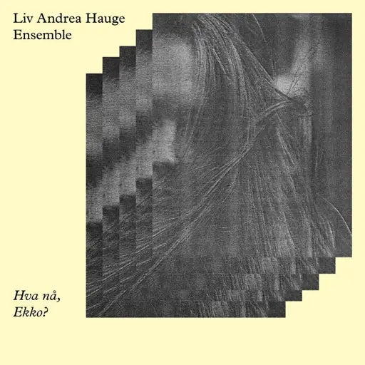 Liv Andrea Hauge Ensemble - Hva na, Ekko?