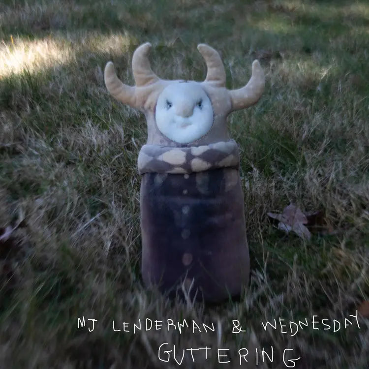 MJ Lenderman and Wednesday - Guttering